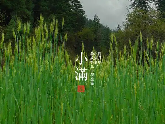 今日小滿，擎川與你一起靜待美滿！